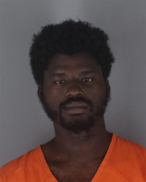 Booking photo of Alize Perkins