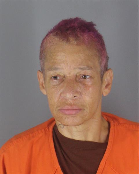 Booking photo of Tracey Freeman