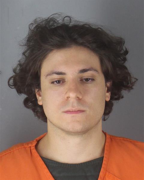 Booking photo of Vincent Di Perno