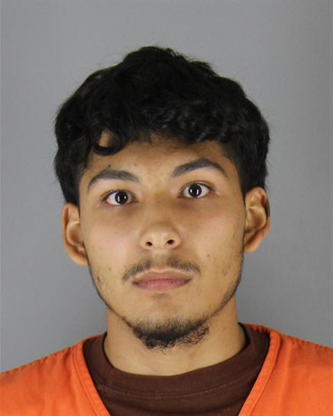 Booking photo of Rodrigo Ruacho Gomez