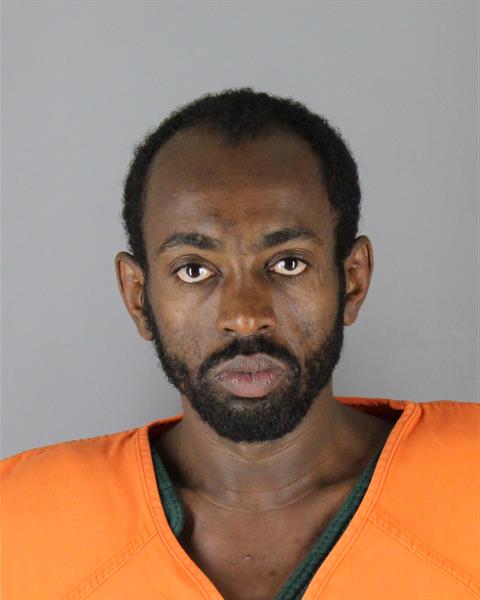 Booking photo of Sanyi Tefera