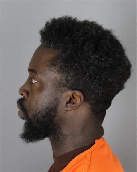 Booking photo of Alvine Dyea