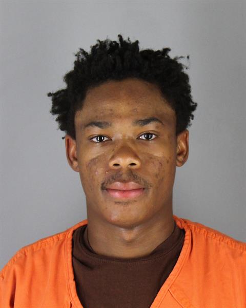 Booking photo of Tielen Medler