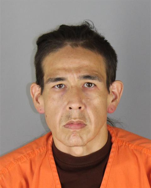 Milo Villebrun booking photo