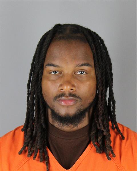 Devon Williams booking photo
