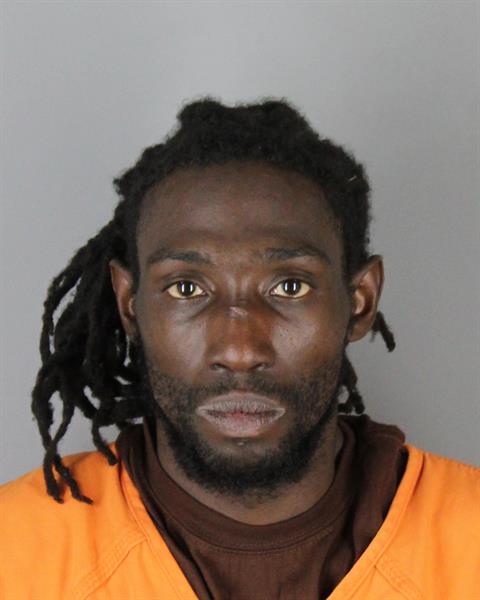 Booking photo of Darcel Seamon