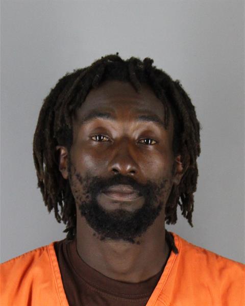 Booking photo of Ryan Siocha