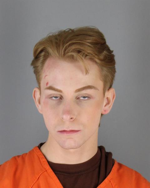 Booking photo of Ty Feldewerd