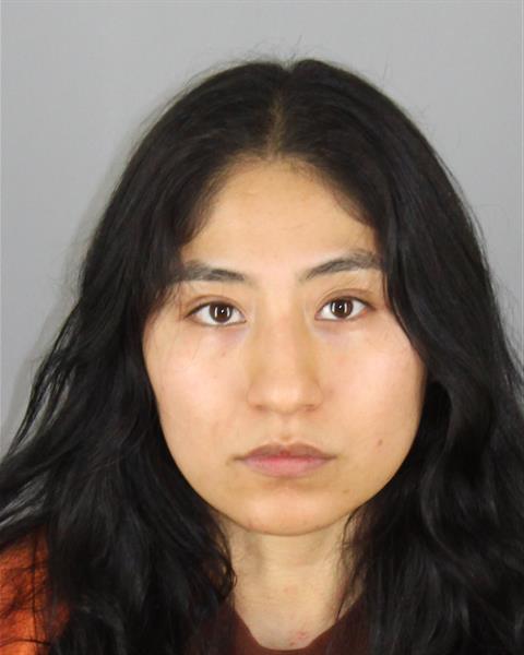 Booking photo of Carmina Romero Mendoza