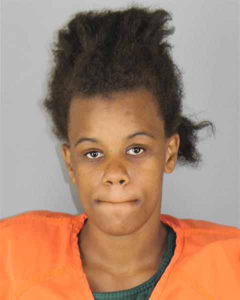 Booking photo of Patricea Taylor