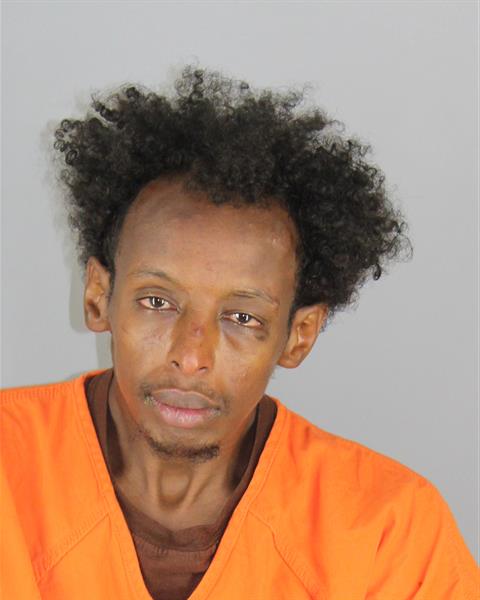 Booking photo of Amir Yusuf