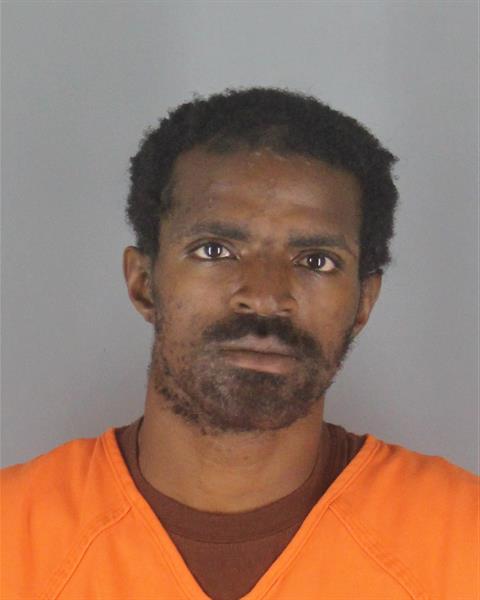 Booking photo of Mikael Stewart