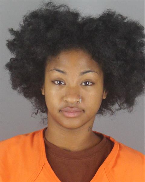 Booking photo of Teanna Minh