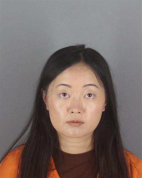 Booking photo of Pang Xiong