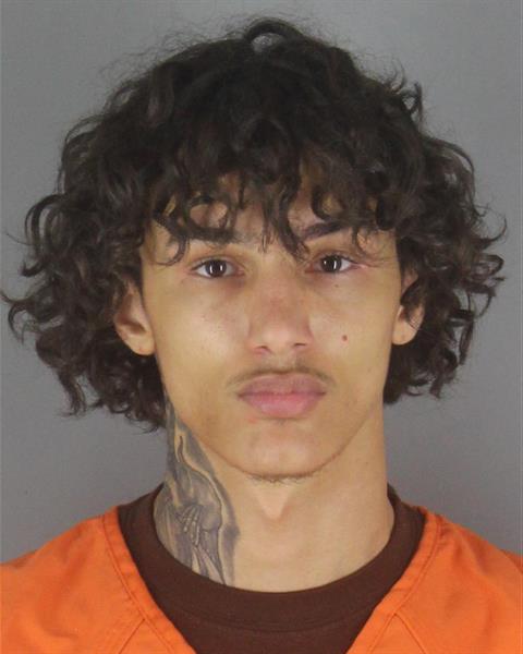 Booking photo of Nevin Treat
