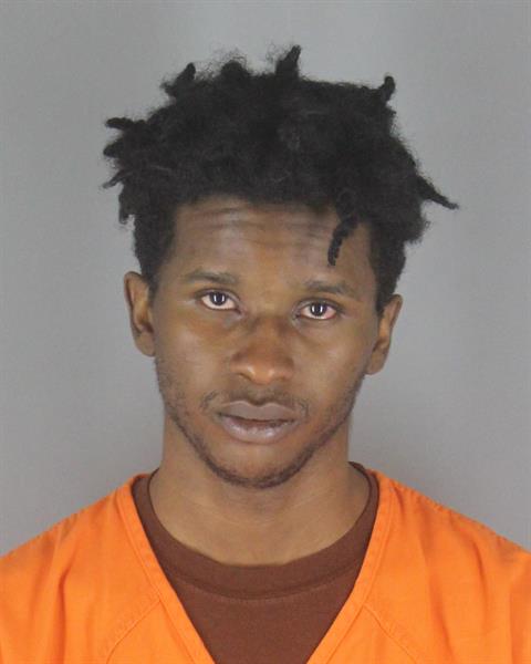 Booking photo of Leamor Williams