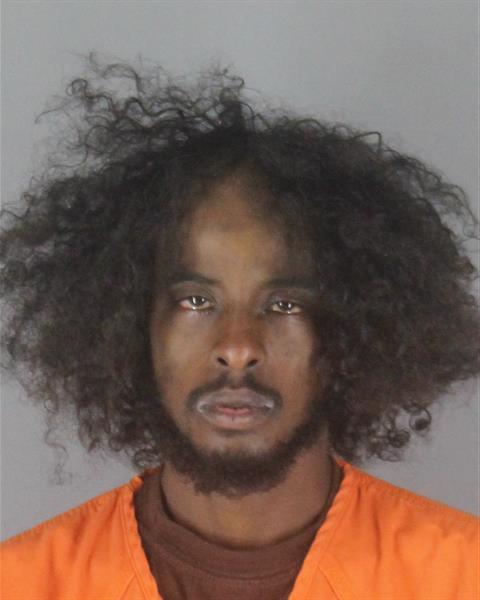 Booking photo of Hussien Mohamed