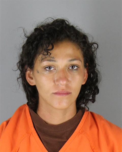Booking photo of Nina Briggs