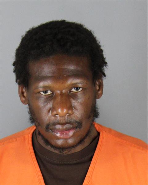 Booking photo of David Mclin