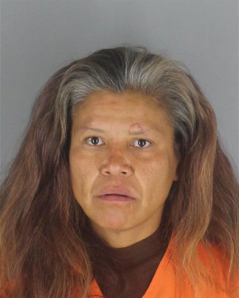 Booking photo of Toni Smith