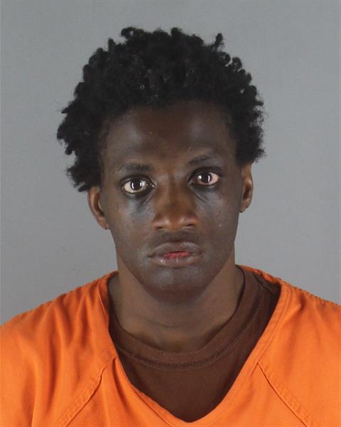 Booking photo of Aeriaskye Matthews