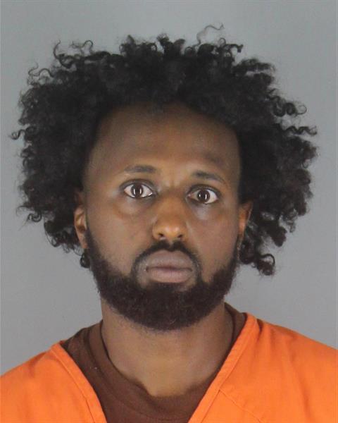 Booking photo of Hamsa Hassan