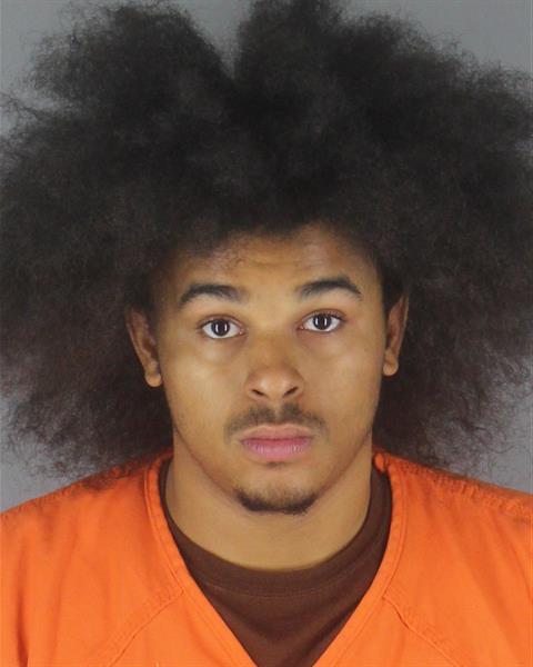 Booking photo of Miles Heags