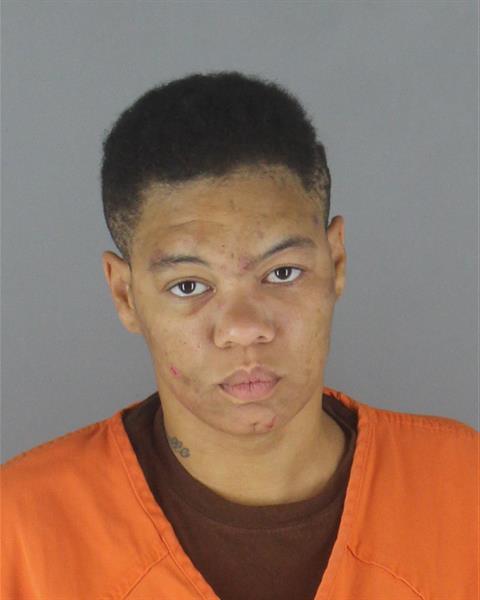 Booking photo of Nicole Williams