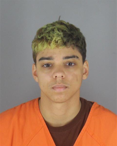 Booking photo of Danica Taborn