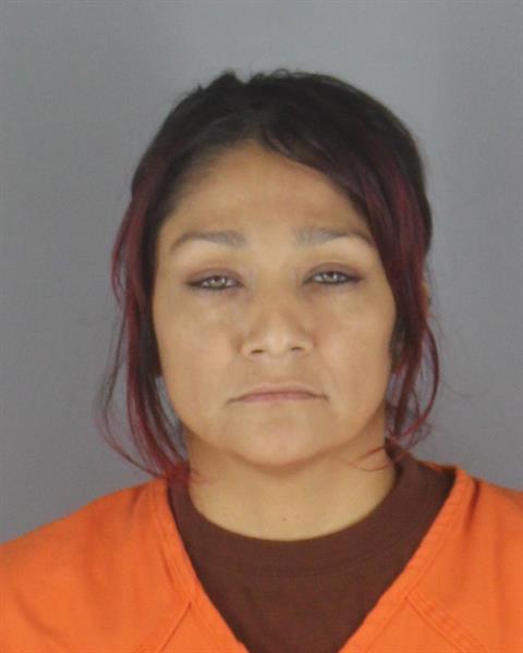 Booking photo of Michelle Santos