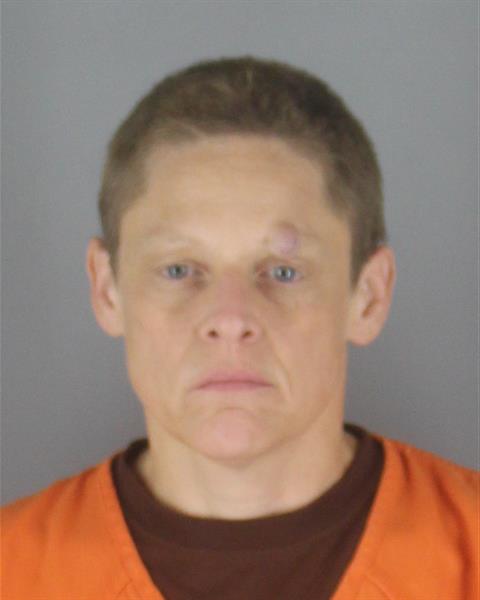 Booking photo of Anna Lanz