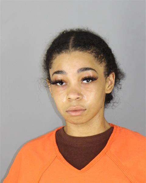 Booking photo of Elizabeth Lemon