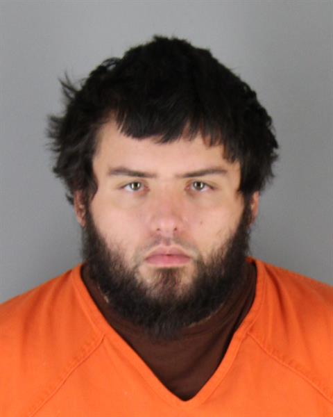 Booking photo of Sam Stout