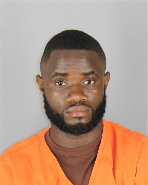 Booking photo of Newton Wiah