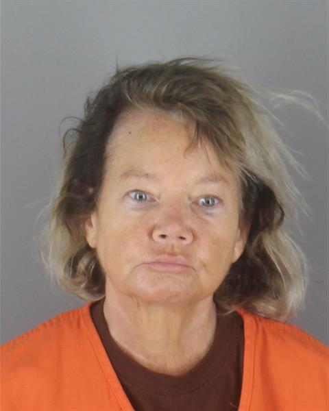 Booking photo of Cheryl Takahashi