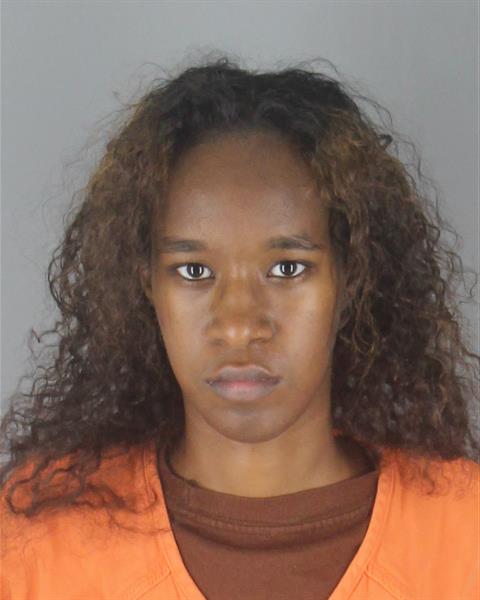 Booking photo of Lebin Dirie