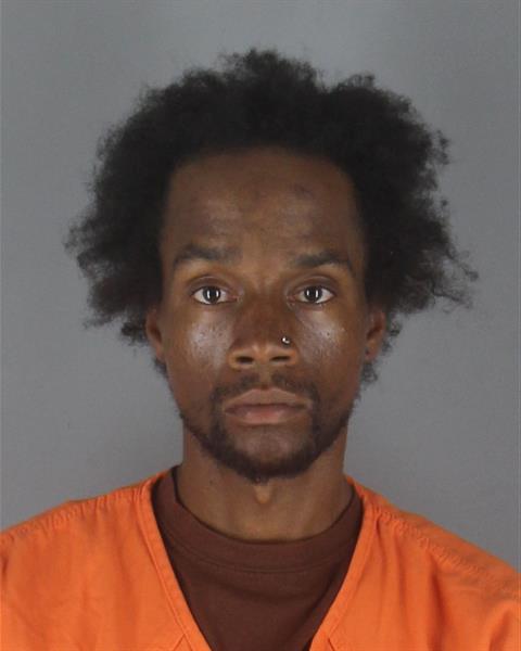 Booking photo of Dominique Greenhow