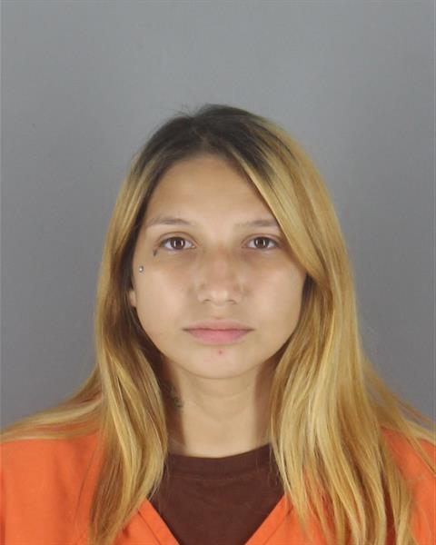 Booking photo of Mckaysha Houle