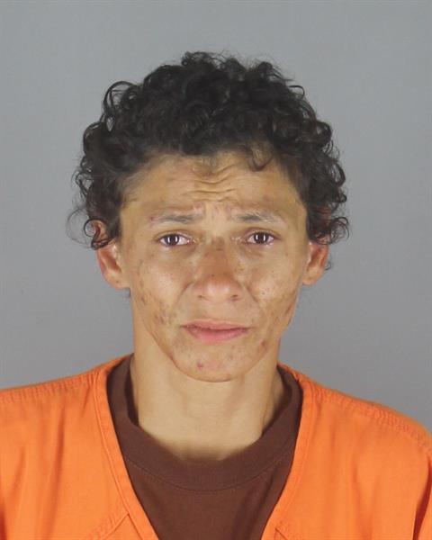 Booking photo of Cecelia Lewis
