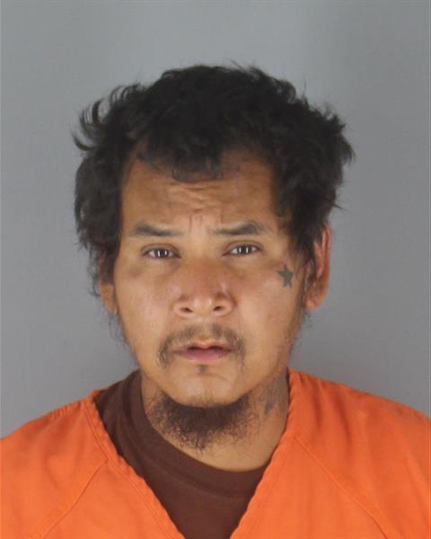 Booking photo of Daryl Feather
