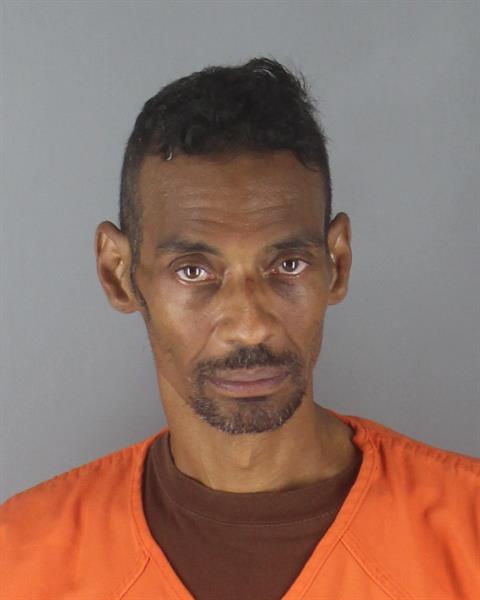 Booking photo of Emeral Hare