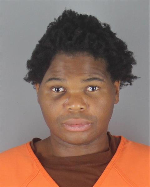 Booking photo of William Watson