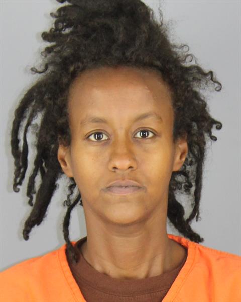 Booking photo of Farhya Ahmed