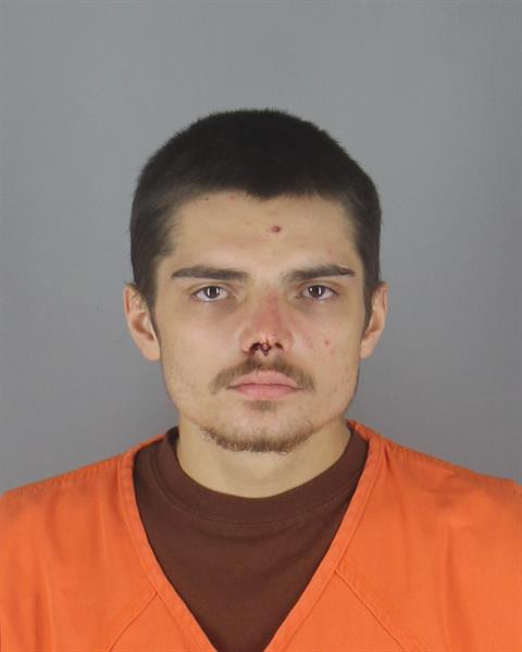 Booking photo of Anthony Gustafson
