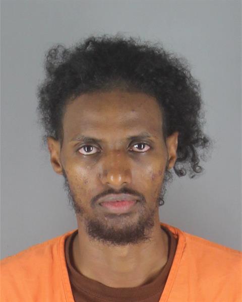 Booking photo of Ahmed Ismail
