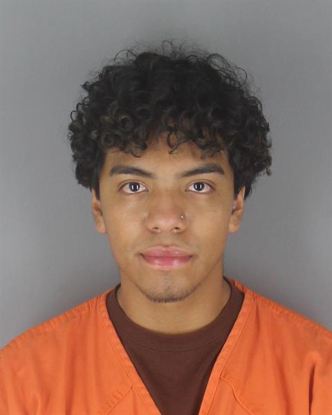 Booking photo of Jovani Flores Pastelin
