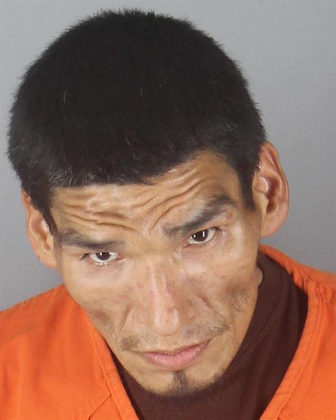 Booking photo of Brandon Fineday