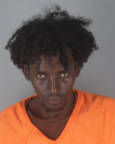 Booking photo of Ahmednur Dahir