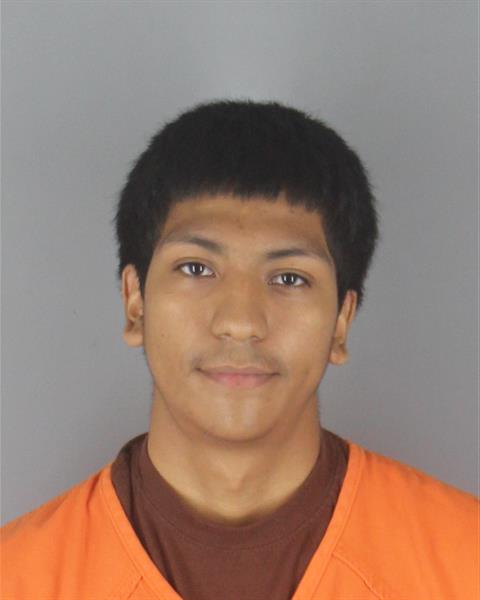 Booking photo of Alexi Bacho-villegas