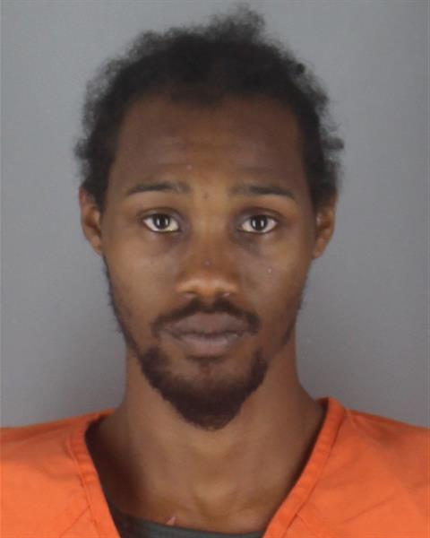 Booking photo of Fabian James